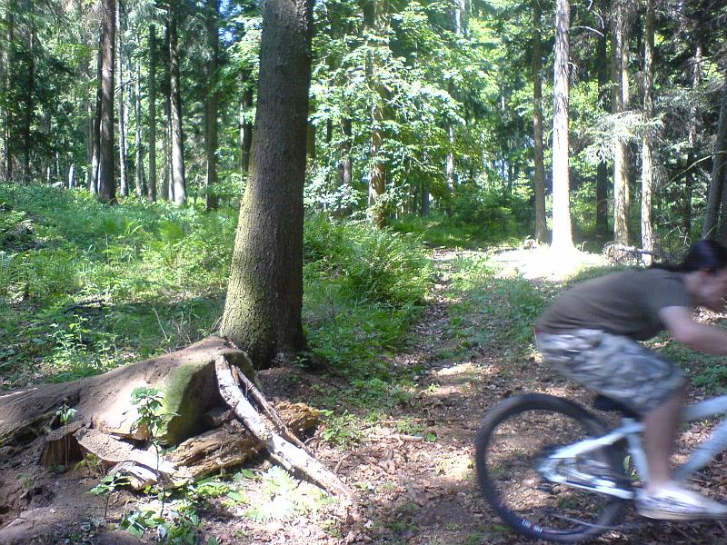freeride 2008 4.JPG